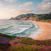 Coastal