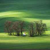 Country Art