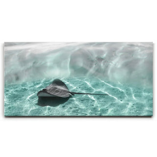 Art Ray - Tahiti