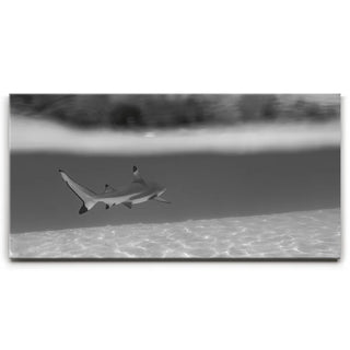 Beneath The Surface B&W - Tahiti