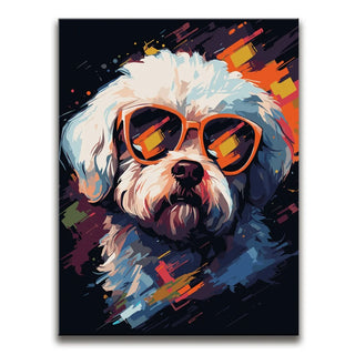 Bichon Frise Rockstar
