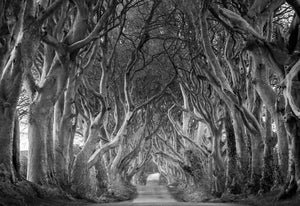 Black and White Art