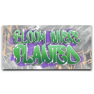 Bloom Where Planted II - Graffiti