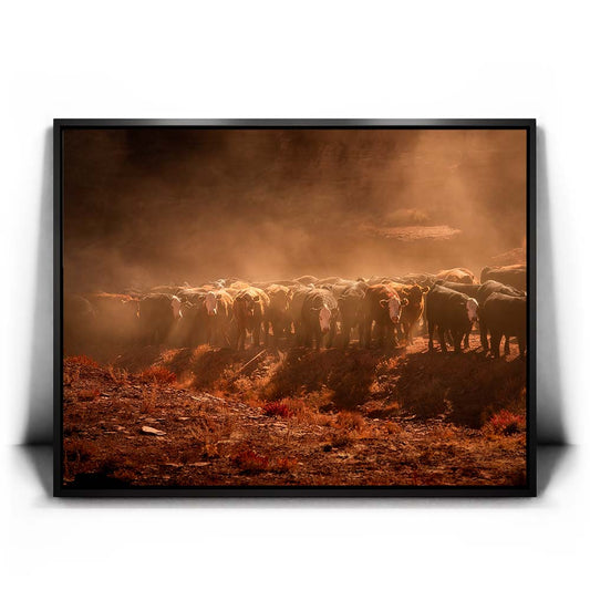 Cattle Staredown Posters, Prints, & Visual Artwork TheGoatWallArt