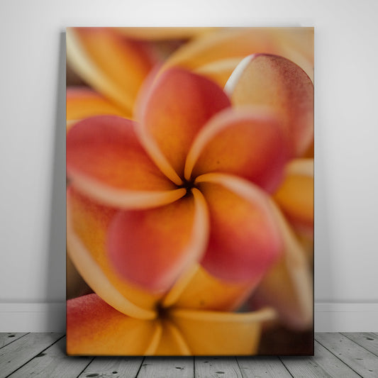 Core Plumeria, Maui Posters, Prints, & Visual Artwork TheGoatWallArt PORTRAIT 18x24 0.75" STANDARD