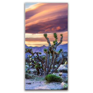 Desert Sunset Silhouettes