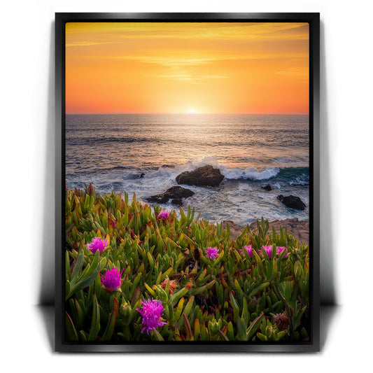 Evening Glory - Montara State Beach - Pacifica, CA Posters, Prints, & Visual Artwork TheGoatWallArt