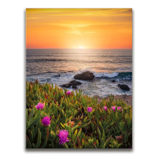 Evening Glory - Montara State Beach - Pacifica, CA