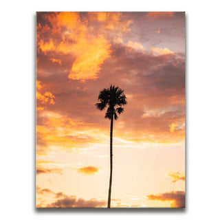Fire Palm