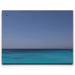 Flying Above The Horizon - Curaçao, Caribbean