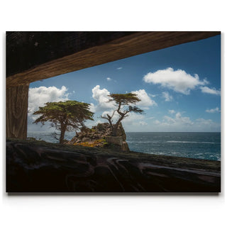 From Beyond the Frame