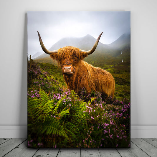 Funny Scottish Highlands Cow Posters, Prints, & Visual Artwork TheGoatWallArt PORTRAIT 18x24 0.75" STANDARD