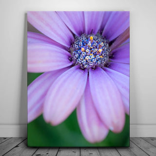 Inner Bouquet