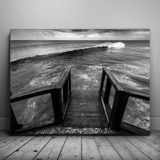 Jump Into Paradise - Black and White