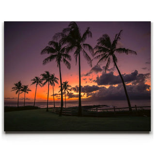 Kapalua Palms at Sunset