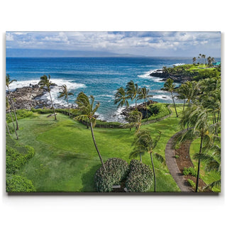 Maui on Par