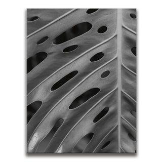 Monstera - Black And White - Maui, HI