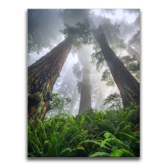 Nature's Sentinels Posters, Prints, & Visual Artwork TheGoatWallArt PORTRAIT 18x24 0.75" STANDARD