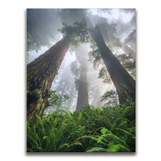 Nature's Sentinels