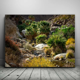 Oasis Valley