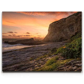 Panther Beach