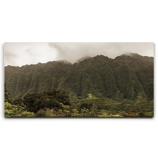 Paradise Mountains All Around Me - Oahu, HI