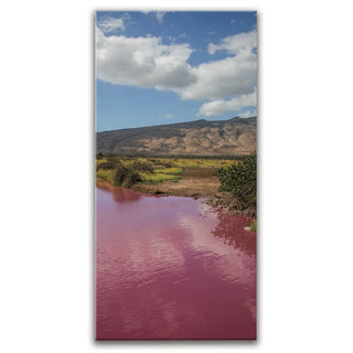 Pink Pond I - Maui, Kealia Pond