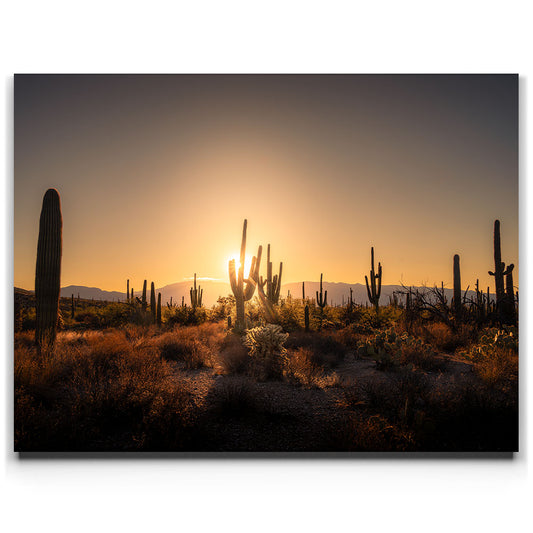 Saguaro Sunrise - Tucson, Arizona Posters, Prints, & Visual Artwork TheGoatWallArt LANDSCAPE 24x18 0.75" STANDARD