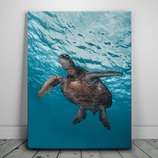 Sea Turtle In The Blue, Maui Posters, Prints, & Visual Artwork TheGoatWallArt PORTRAIT 18x24 0.75" STANDARD