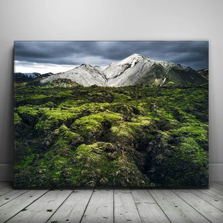 Snowy Serenity - Iceland