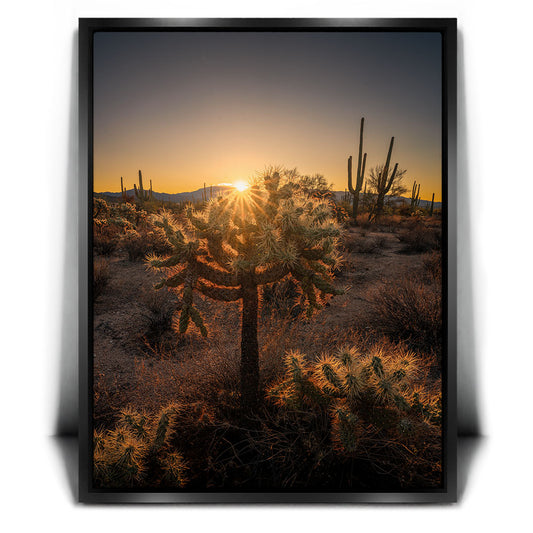 Sparkling Spikes - Tucson, Arizona I Posters, Prints, & Visual Artwork TheGoatWallArt