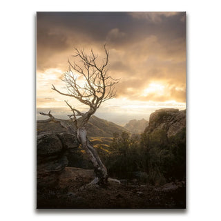 Sunset at Mt. Lemmon, Arizona