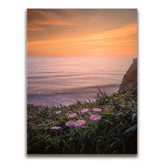 Sunset Bloom