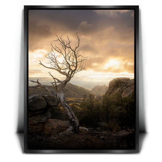 Sunset at Mt. Lemmon, Arizona Posters, Prints, & Visual Artwork TheGoatWallArt
