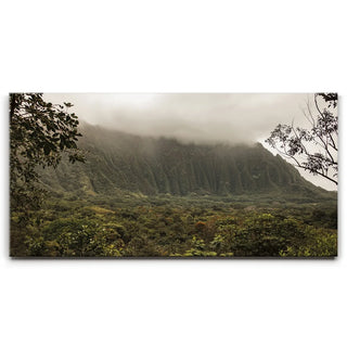 Take Me To The Mountains - Oahu, HI