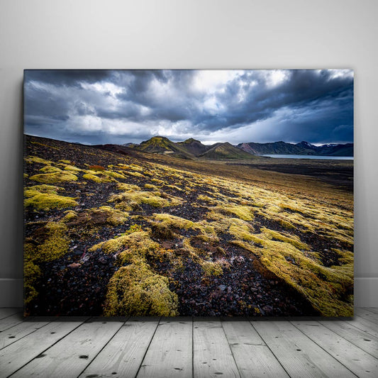 Texture of the Wild - Iceland Posters, Prints, & Visual Artwork TheGoatWallArt LANDSCAPE 24x18 0.75" STANDARD