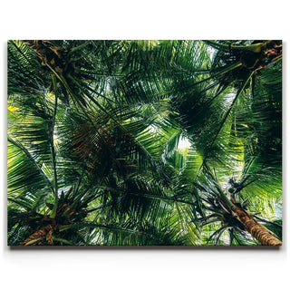 Tropical Grove