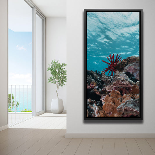 Underwater Star, Maui Posters, Prints, & Visual Artwork TheGoatWallArt PORTRAIT - TALL 15x30 1.70" BLACK FRAME