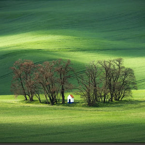 Country Art