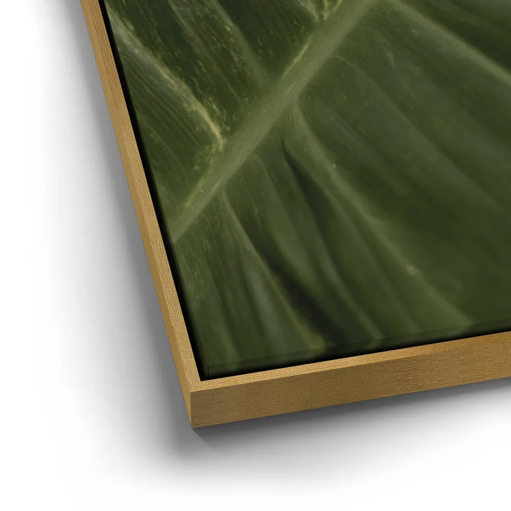 Featured image 12 for A Detail In Green - Maui, Hawaii