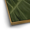 Thumbnail image 12 for A Detail In Green - Maui, Hawaii