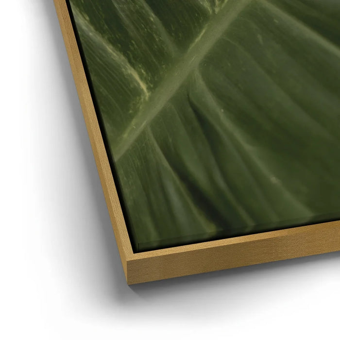 Featured image 12 for A Detail In Green - Maui, Hawaii