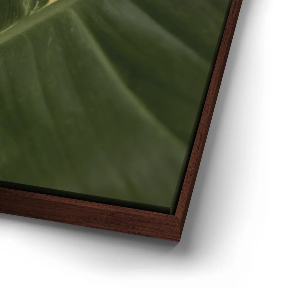 Featured image 14 for A Detail In Green - Maui, Hawaii