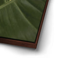 Thumbnail image 14 for A Detail In Green - Maui, Hawaii
