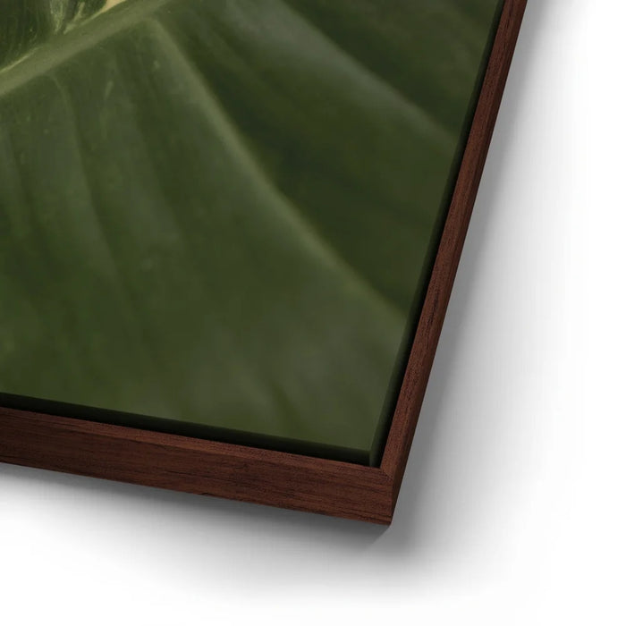 Featured image 14 for A Detail In Green - Maui, Hawaii