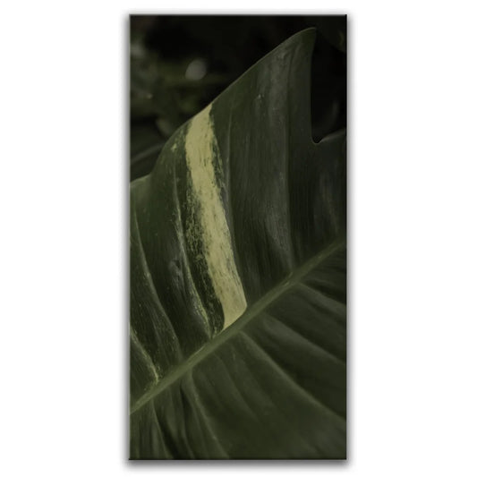 A Detail In Green - Maui, Hawaii Posters, Prints, & Visual Artwork TheGoatWallArt PORTRAIT - TALL 15x30 0.75" STANDARD