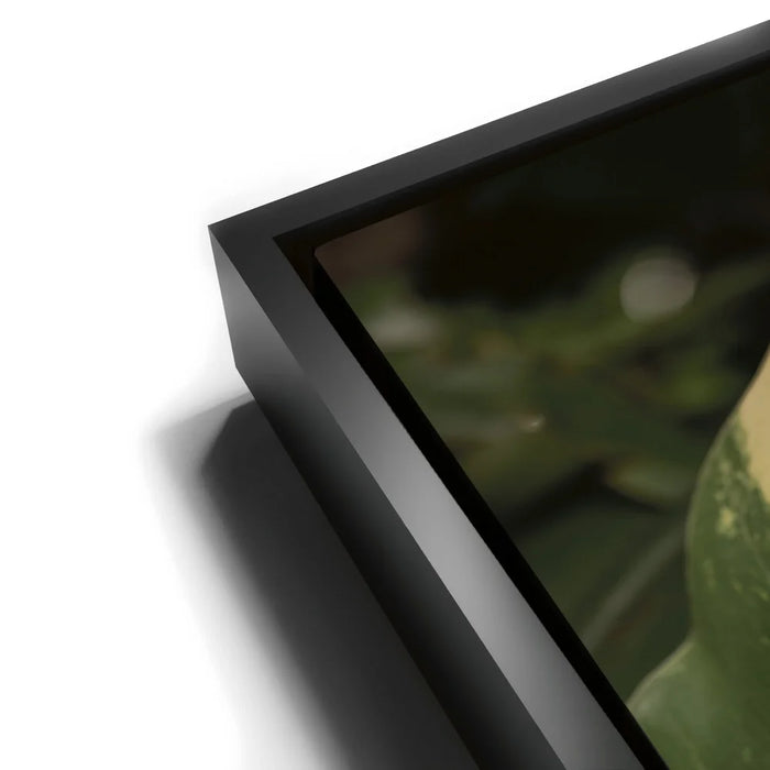 Featured image 11 for A Detail In Green - Maui, Hawaii