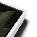 Thumbnail image 13 for A Detail In Green - Maui, Hawaii