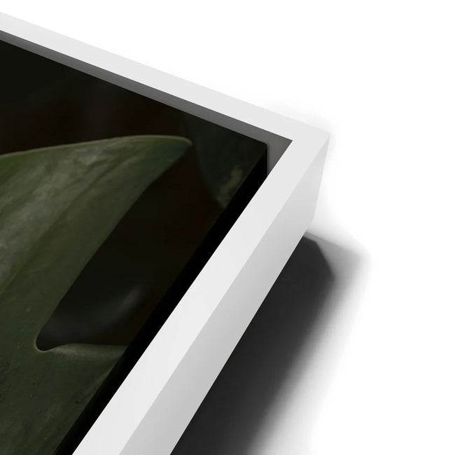 Featured image 13 for A Detail In Green - Maui, Hawaii