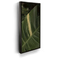 Featured image 5 for A Detail In Green - Maui, Hawaii